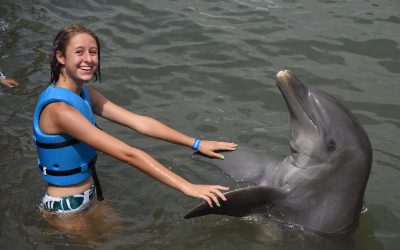 Playing with dolphins, Playa Mujeres