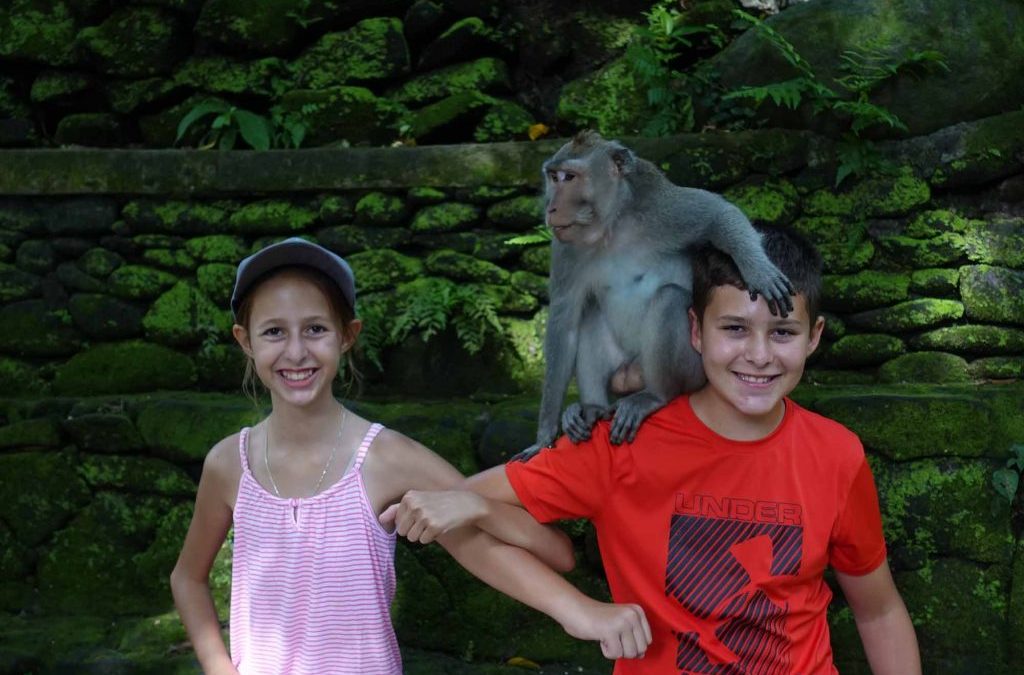 The Monkey Forest